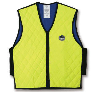 Ergodyne Chill-Its Cooling Vest