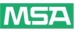 msa logo