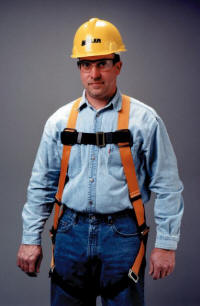 miller titan harness
