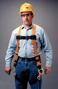 miller titan harness