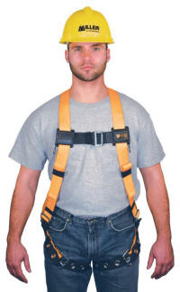 miller titan harness