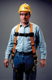 miller titan harness