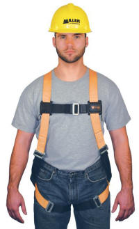 miller titan harness