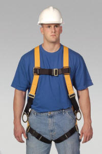 Miller Titan fall harness