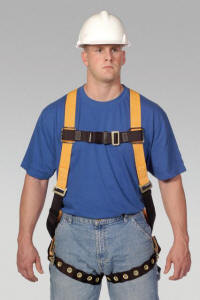 miller titan harness